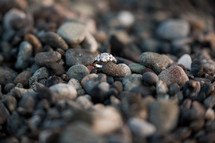 engagement ring on pebbles 