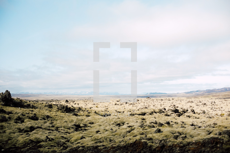 landscape in Iceland 