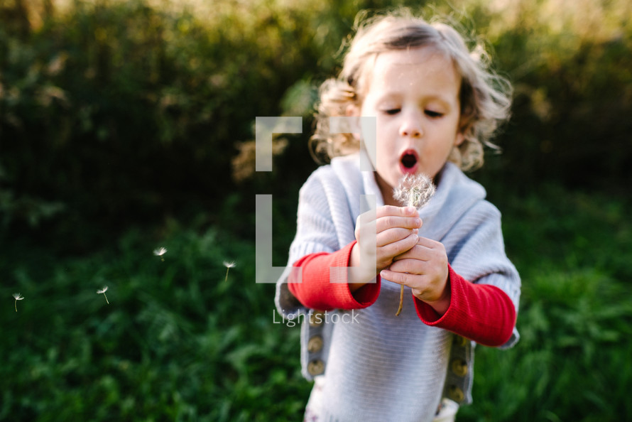 a little girl blowing a dandelion 