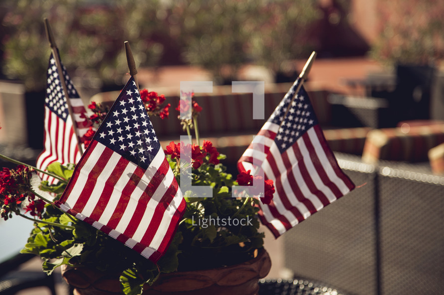 American flags in a pot of geraniums.