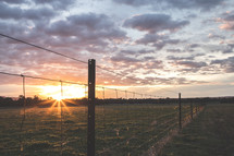 rural fence line at sunset 