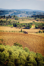 Typical Tuscan hill landscape with vineyards, olive grove and tractor working. Monterappoli, Florence, Italy.