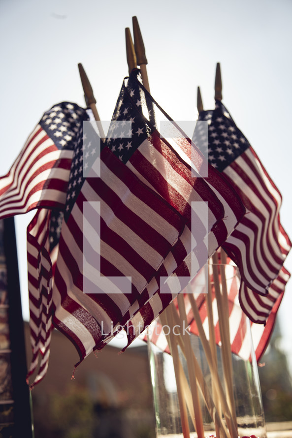 American flags in a clear vase.
