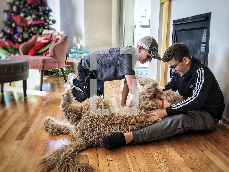 boys playing with  a dog at Christmas 