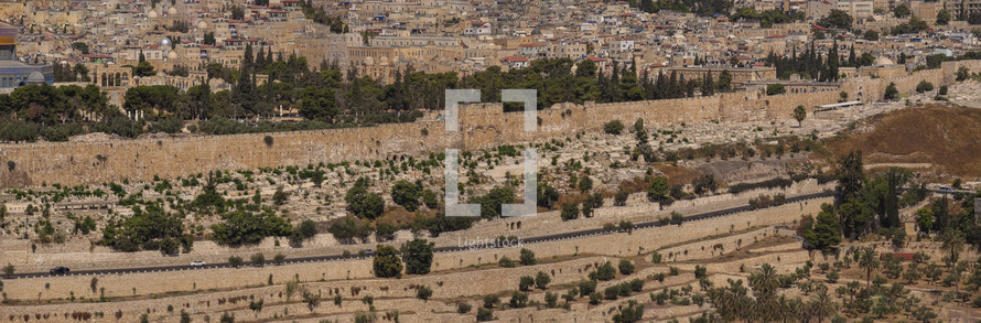 A picture of the Old City of Jerusalem and the Gate of David.