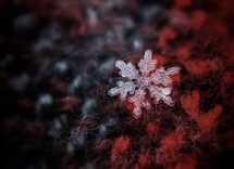macro snowflake on wool 