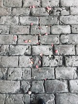 rose petals on cobblestones 