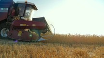 Wheat harvest concept. Combine harvester gathers the wheat crop. Harvester machine harvesting golden ripe wheat field on an agricultural field at sunset. Industry agriculture food production.