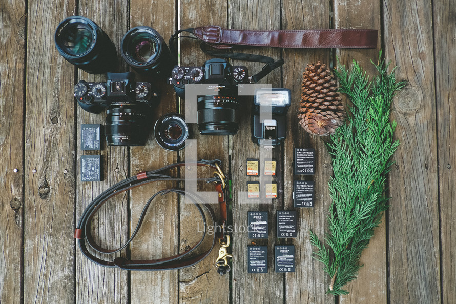 camera, leash, leather, memory cards, batteries, twigs, lens, photography, photographer, equipment, wood boards, strap, flash, pine cone
