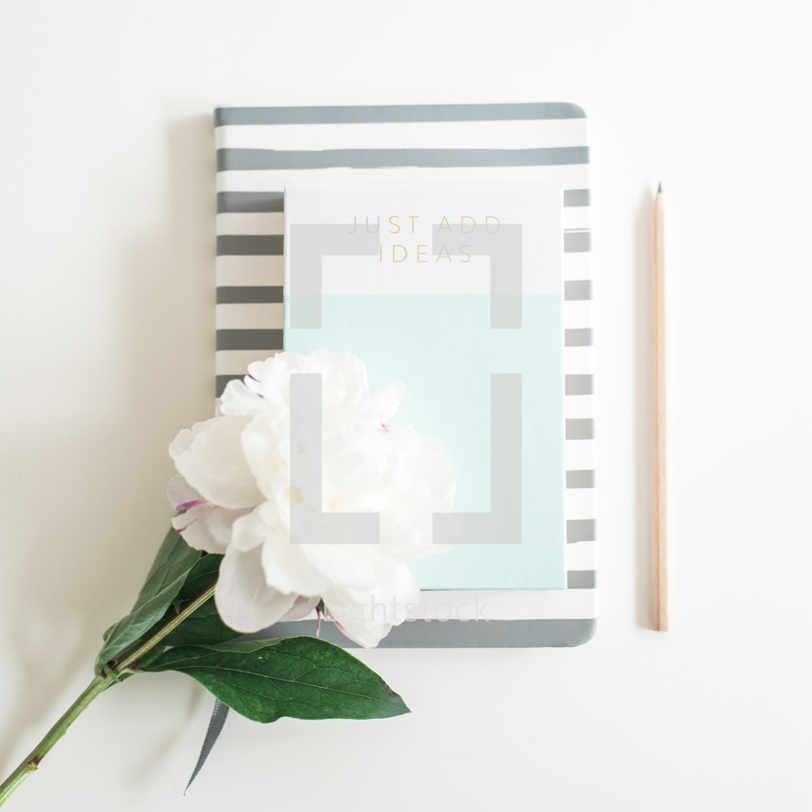 pencil, book, journal and flowers on a white desk 