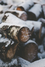 snow on logs 