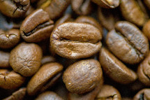 closeup of coffee beans 