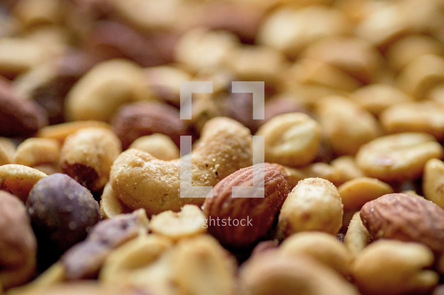 nut variety 