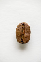 single coffee bean 