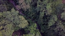 drone flight over Papua New Guinea landscape 
