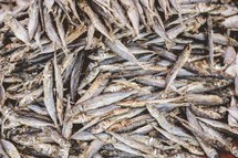 dried fish 