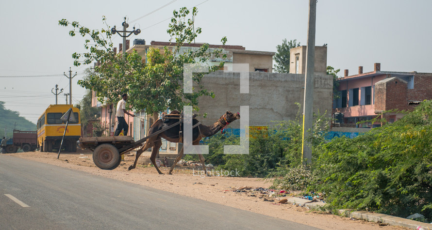 a camel pulling a wagon in Mandawa, India 