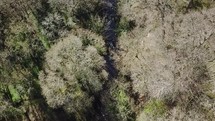 Aerial View Following the Glencullen River in a Bare Woodland, County Wicklow