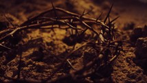 crown of thorns on ashes 