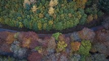 Aerial Panning over Evergreen and Deciduous Trees in Cloghleagh Wood, County Wicklow in Autumn, Ireland
