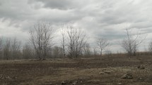 Lifeless trees in a desolate and barren looking wilderness area with grey, cloudy, overcast sky with rain clouds, dead, barren trees and rocky dirt area.