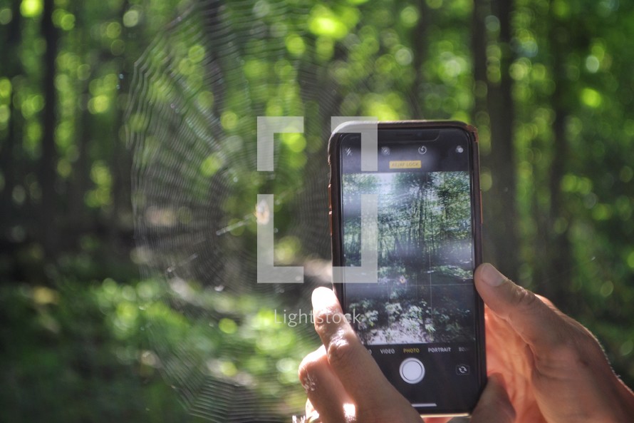 taking a picture of a spider web