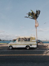 old van parked near a palm tree 
