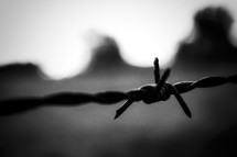 barbed wire 
