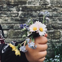 hand holding picked flowers 