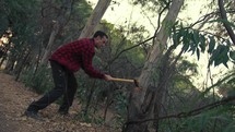 Lumberjack man is cutting a tree trunk in a forest