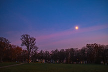 glowing moon over a park 