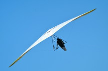 Hang glider in flight