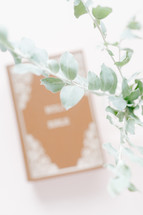eucalyptus branch in a vase and Bible 