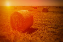 Hay bales in a field at sunset.