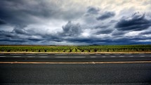 A photo of a vineyard under blue clouds with a highway in the forefront.