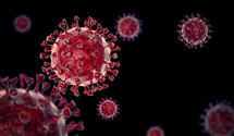coronavirus, virus, covid-19