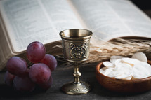Communion elements and grapes