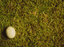 A yellow Easter egg on green grass.