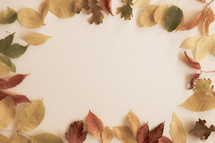 Border of fall leaves on white background