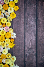 flowers on a wood background 