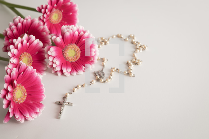 Pink flowers and a white rosary on a white background