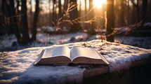 Open Bible on wooden bench in winter sunset