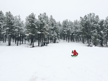 sledding in the winter snow 