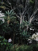 a man standing in a tropical jungle landscaped yard