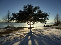 shadow from a tree by a lake in snow 