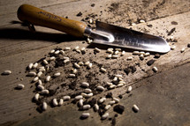 bean seeds, dirt, and shovel on a floor 