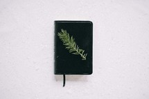 Bible in the snow with a spruce twig 