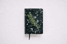 spruce twig on a Bible in the snow 