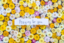 Praying for you 