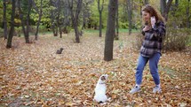 Young woman training her Jack Russell Terrier in nature asking to jump to hands.